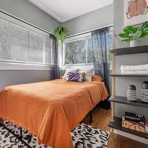 Jungle Themed Apt. Close To Coffee, Food + Shops! Apartment